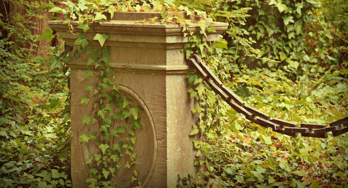Financial Fears | Grave in a greenery based location